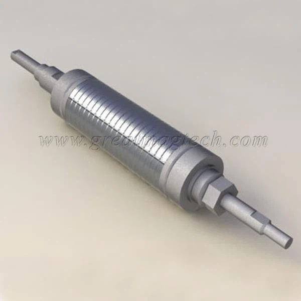 Magnetic Rotor