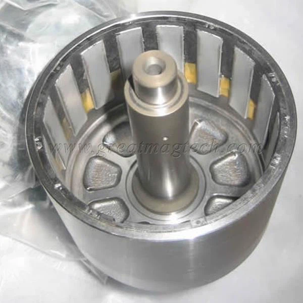 magnetic stator