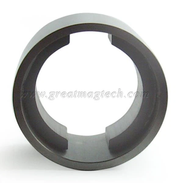 magnetic stator