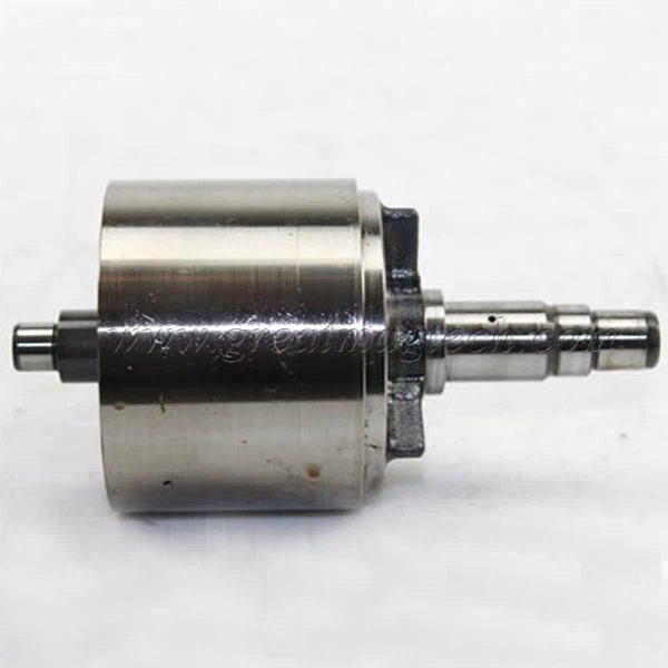 Permanent Magnet Rotor