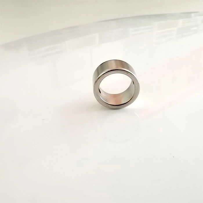 Rare Earth Magnet